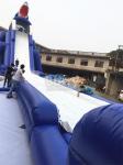 Commercial Giant Sharp Long Inflatable for Kids / Adult Aqua Park