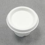 Plastic Spoon