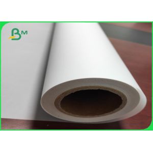 55-285g Sulphate Paper High Transparency Tracing Paper roll