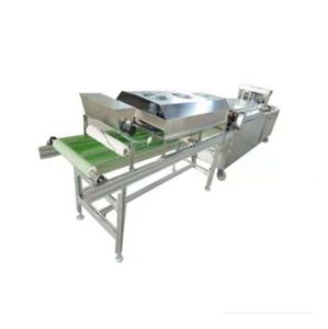 China Easy Operation Silver BP-450 Commercial Tortilla Machine For Tortilla Production factory
