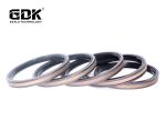SPGW-Pistion Packing Seal PTFE+NBR+NY Bronze color For Excavator Machine
