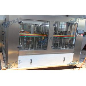 Small Scale Automatic Drinking Pure Water Filling Machine Line Plant For PET