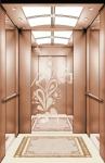 ORIA mordenized home resident home Villa elevator