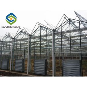 Transparent Hydroponic 0.3KN/M2 Multi Span Greenhouse