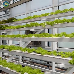 China ISO Certification Commercial Hydroponic Greenhouse For Agriculture Anti Corrosion factory