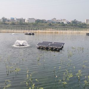 Portable Solar Powered Paddle Wheel Aerator Intelligent Control For Shrimp And