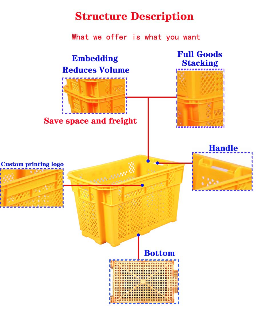 Beverage Bottle Perforated Plastic Crate For Tomatoes Other Fruits