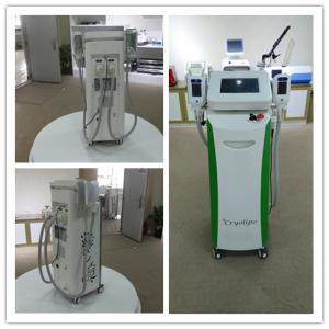 China Criolipolisis machine freeze fat cool shape whole body cryotherapy machine price factory
