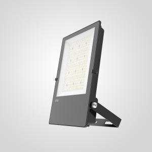China Electrostatic Polyester Coated LED Flood Light 300W LED Floodlight IP66 Waterproof factory