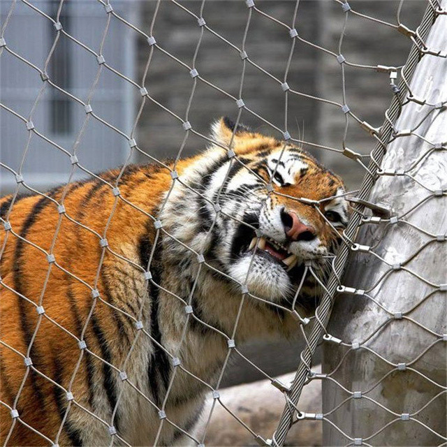 SS304 316 316L Zoo Mesh Corrosion Resistant And Long-Lasting For Animal Enclosures