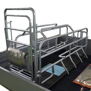 China Pig Farming Swine Sow Farrowing Crate Anti Rust Easy Installation factory