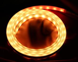 China Dream Color Smart Led Strip Light 10m 2m Wifi Control factory
