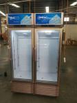 Double door refrigerator commercial freezer freezerbeer freezer