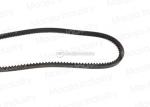 AB31009 1992 to Now Piaggio PIAGGIOPORTER Box Accessory Drive Belt / Fan Belt /