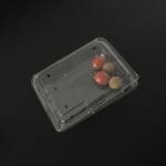 125g Blueberry Clamshell Plastic Packaging Boxes Impact Resistance