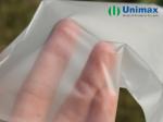 Eco Friendly Translucent Disposable TPE Gloves
