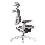 2022 GTCHAIR IVINO X High-end Mesh Swivel Office Chair with Polished Aluminum