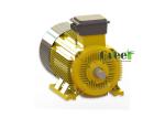 Steel Brushless 3 Phase Permanent Magnet Alternator