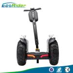 Self Balancing Off Road Segway Electric Scooter Two Wheel Upright Scooter With