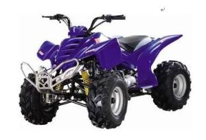 China 200cc ATV gas,single cylinder, 4-stroker,air-cooling ,electric start.good quality factory