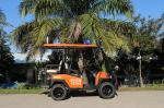 48V Electric Golf Buggy with Red/Blue Strobe Light With Trojan Battery
