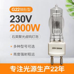 China 230v 2000w G22 Lamp Single Ended Halogen Light Bulb 3200k 300Hours factory
