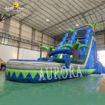 Home Blue Large Inflatable Pool Slide 0.55mm Thick Vinyl Tarpaulin Mateiral