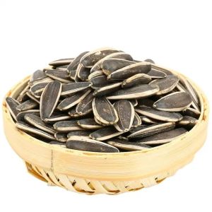 China Sunflower Seeds S3 The Yield Solution for Your Business factory