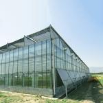 Galvanized 12mm Thickness Film Greenhouse Solar System