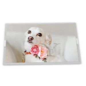 China New Lcd Display 8907-CCFL-A173 07-CCFL-A173 GWMS8907-PCB/B/A Lcd Panel factory