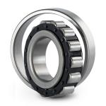 NJ 1038 ML;NU 1038 ML Cylindrical Roller Bearings Use For Truck Mounted Mini