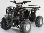 500w/800w/1000w Electric ATV
