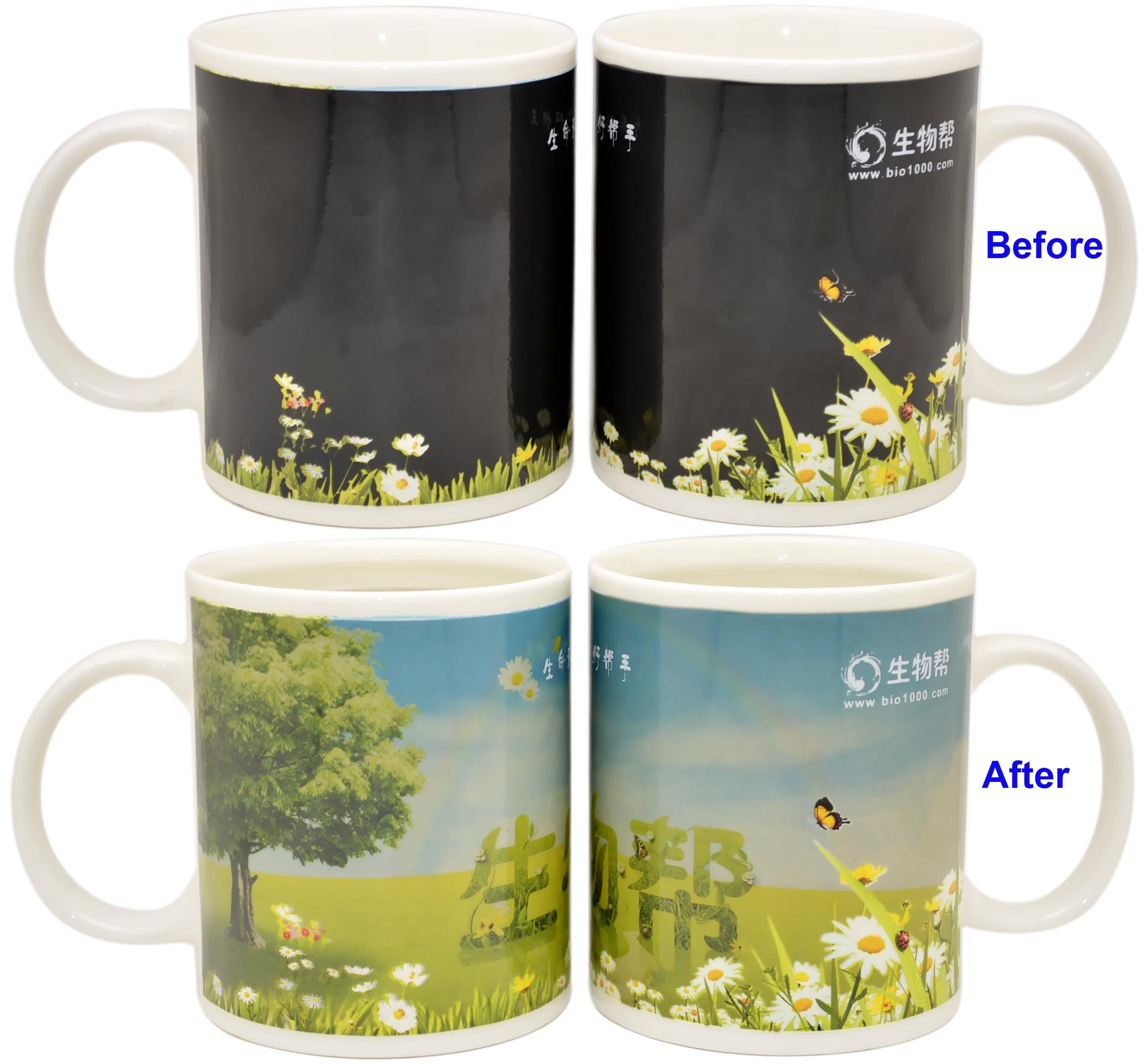 Corporate Gift Personalized Color Changing Cups Eco - Friendly