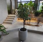 Indoor And Outdoor Fiberglass Flower Pots Resin Flower Planter China Wholesale