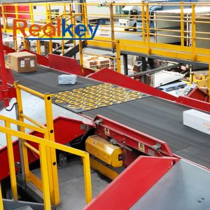 Robust Automated Parcel Sorting System High Performance With Advanced Technology