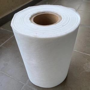 China 150mm 40g 300g Reinforced Polyester Mat UV Resistant Chopped Fiberglass factory