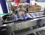 100g-1kg Rotary Pouch Packing Machine For Salt Powder Veterinary Fertilizer