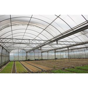 12-15 Meter Tunnel Width IGREEN Large Multi-Span Plastic Greenhouse for Plant