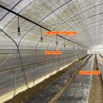 Galvanized Steel Frame Mushroom Growing Shade Net Greenhouse for Agricultural