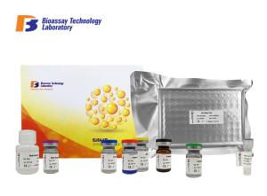 China Non - Esterified Fatty Acid Bovine ELISA Kits For Research High Precision factory