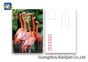 China Promotion Cartoon 3d Lenticular Postcard / Flip Lenticular Image Printing factory