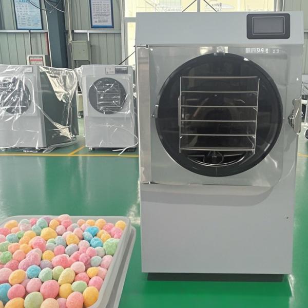 SUS304 Stainless Steel Shell Small Freeze Dryer for Graphene