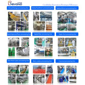 SUS304 10TPH Fruit Vegetable Washing Machine Stepless Shift