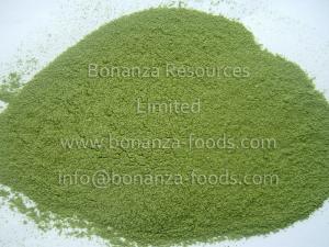 China Dehydrated Leeks Green and white factory