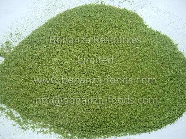 Freeze Dried Leek Powder/Bulk Packaging dried leek/HACCP certified/Kosher/free