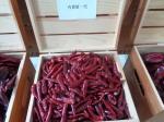 7CM Dried Long Red Chillies 50000SHU Dehydrated Tianjin Chili ISO