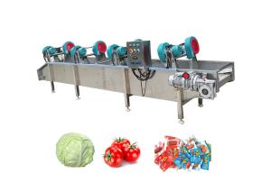 China Cleaning Processing 500kg/h Fruits Vegetable Air Dryer factory