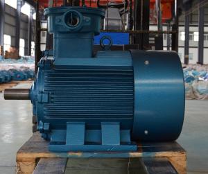 China Variable Speed Neodymium Magnet Motor No Gear Box Natural Cooling IP68 IP65 factory