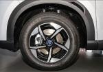 BYD Yuan UP 2024 301KM Leading Model Economic EV Cars