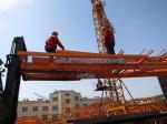 380V Power Line Tower Crane Chinese QTZ 31.5 / 3808 3 Tons Loads